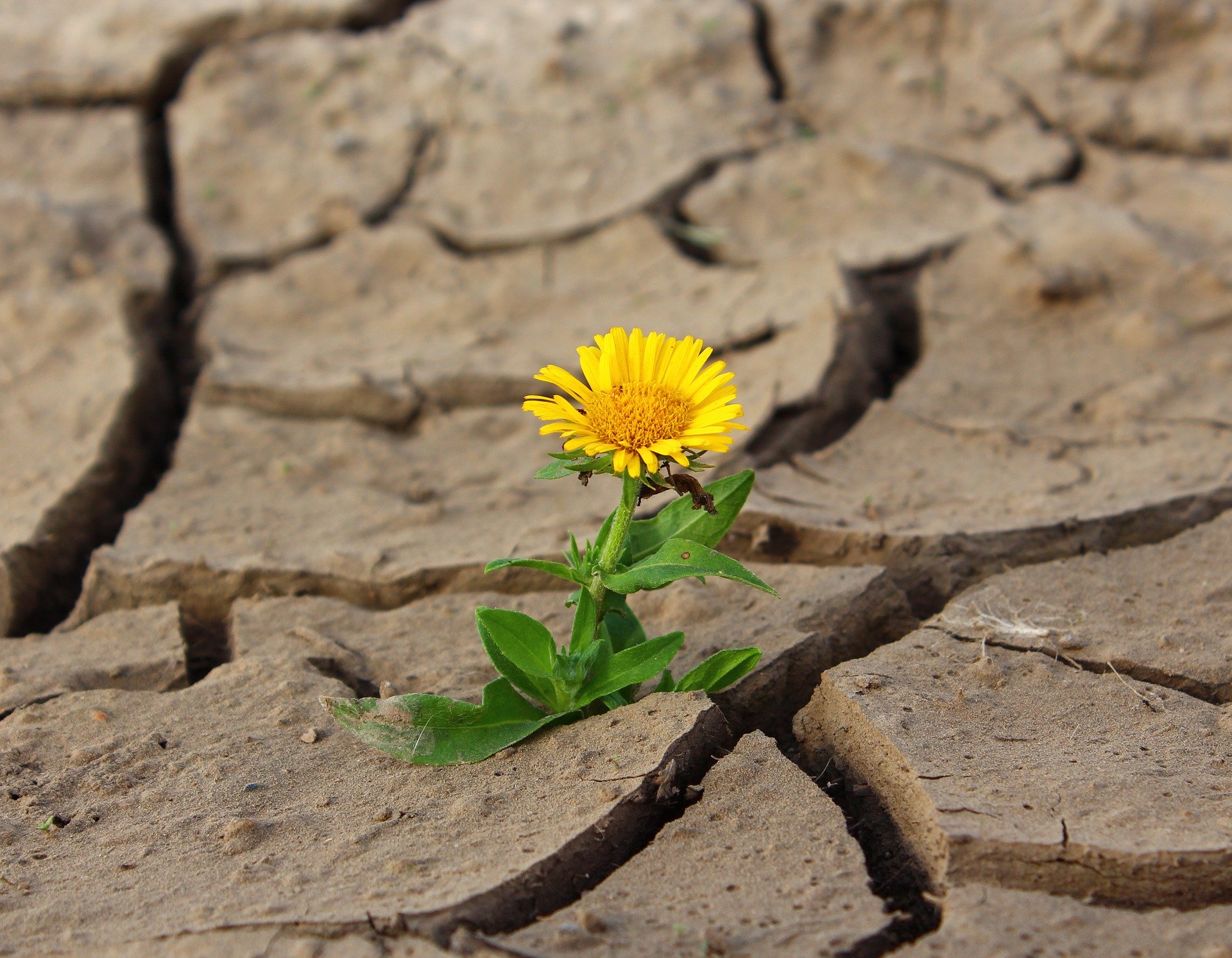 Droogte in Vlaanderen – een topic waard!