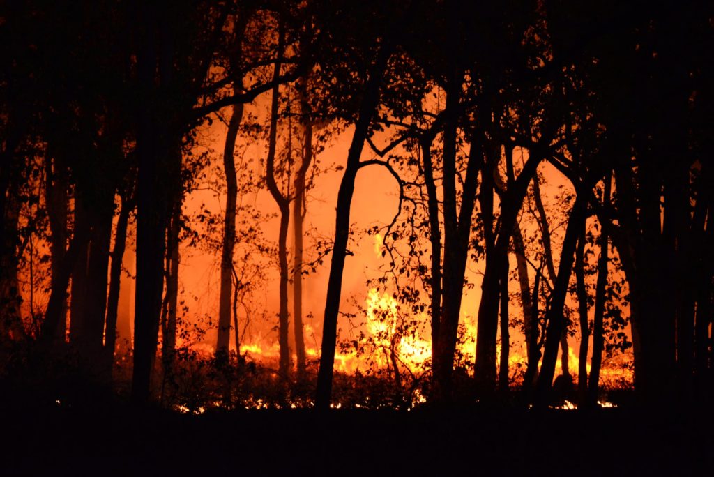 Indonesische bosbranden verstikken de wereld