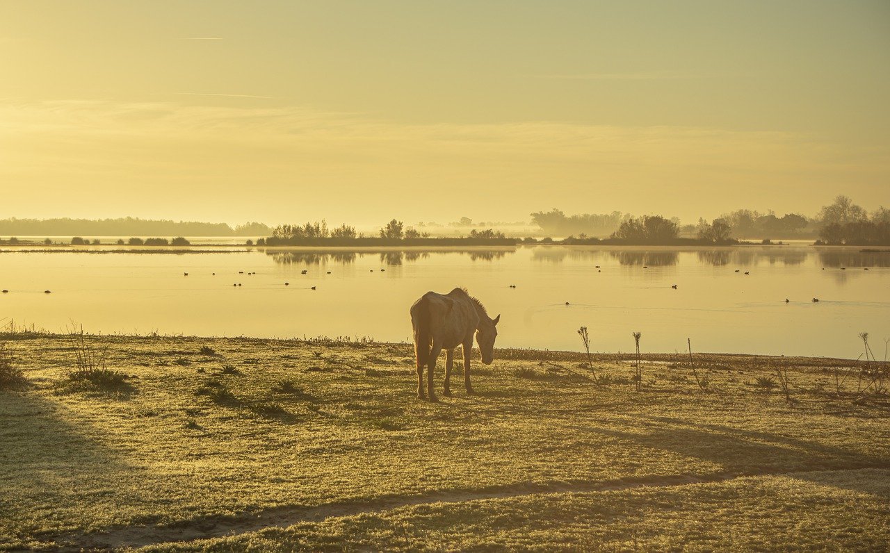 Water stelen? 2 keer nadenken!